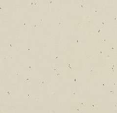 Forbo Sphera Energetic 50221 linen фото 1 | FLOORDEALER